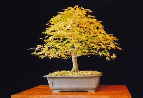 人間日歷 今日宜熱愛(ài)